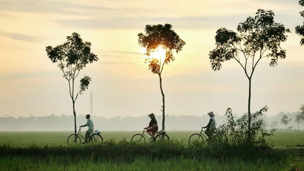 dikaseva 8o4W9LZv6eo unsplash Vergleichsplattform Thailand für nützliche Informationen